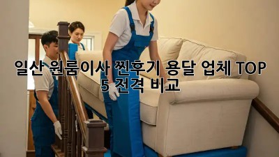 일산 원룸이사 찐후기! 용달 업체 TOP 5 전격 비교 🚚💨