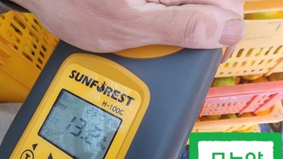 13브릭스 감귤 후기: 꿀팁 가득한 솔직 후기!🍊